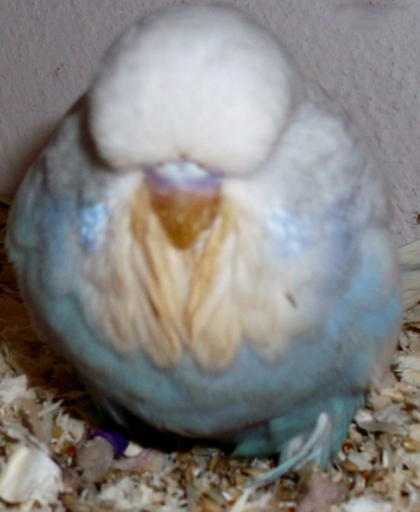 WS-Babys 2015 001.JPG